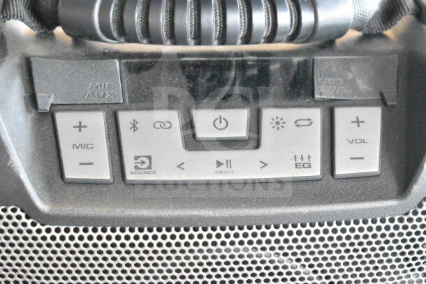 Ion speaker control panel with buttons for mic, volume, power, Bluetooth, and EQ. Includes mic/aux and USB inputs.