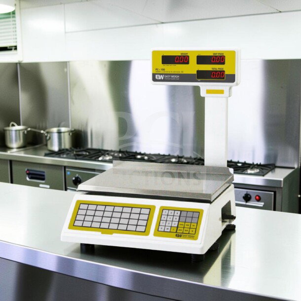 Skyfood PC-100-PL 10" stainless steel price computing scale with pole display, 60 lb capacity, fully tested, operational.