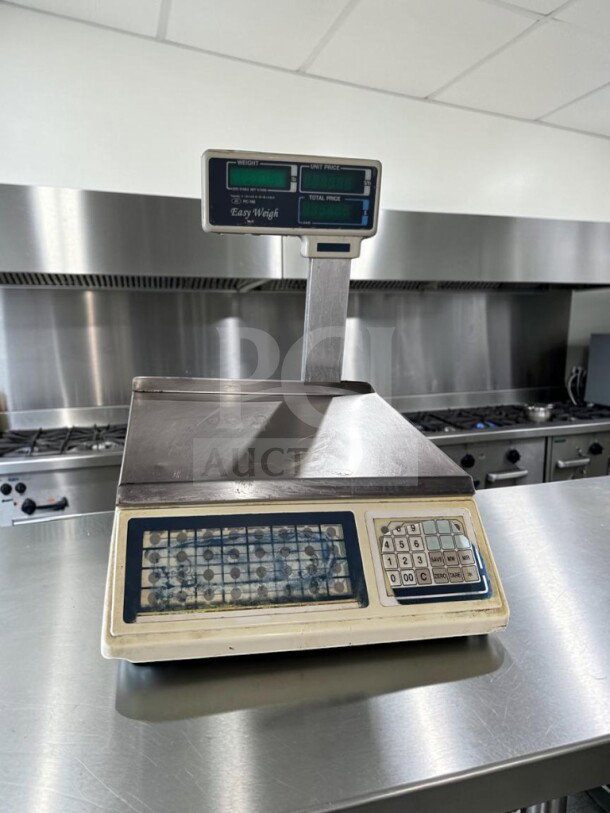 Skyfood PC-100-PL price computing scale, 10" stainless steel, 60 lb capacity, pole display, fully tested, 115V, Easy Weigh label.