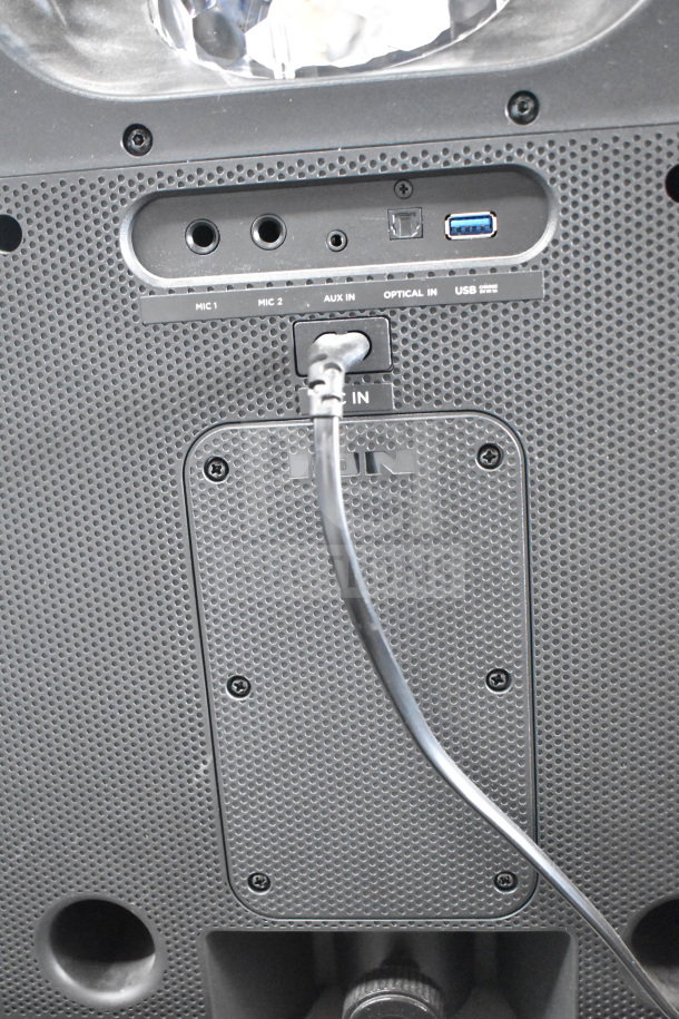 Back panel of Ion Party Rocker Max Speaker showing ports: mic inputs, AUX, optical, USB. Perforated grill design.