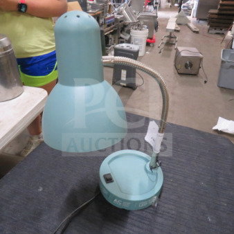 Blue LED desk lamp with adjustable gooseneck. Shows minor signs of wear. Power switch on base. Auction tag attached.