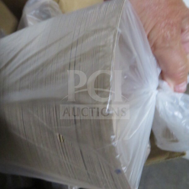 One case of Bagcraft boats, model #300695, sealed in plastic wrap, indicating new condition.