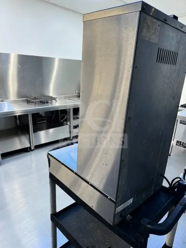 Royal Range RVB-2 commercial two-burner vertical gyro broiler, propane gas, 26,000 BTU, motorized rotisserie, NSF certified.