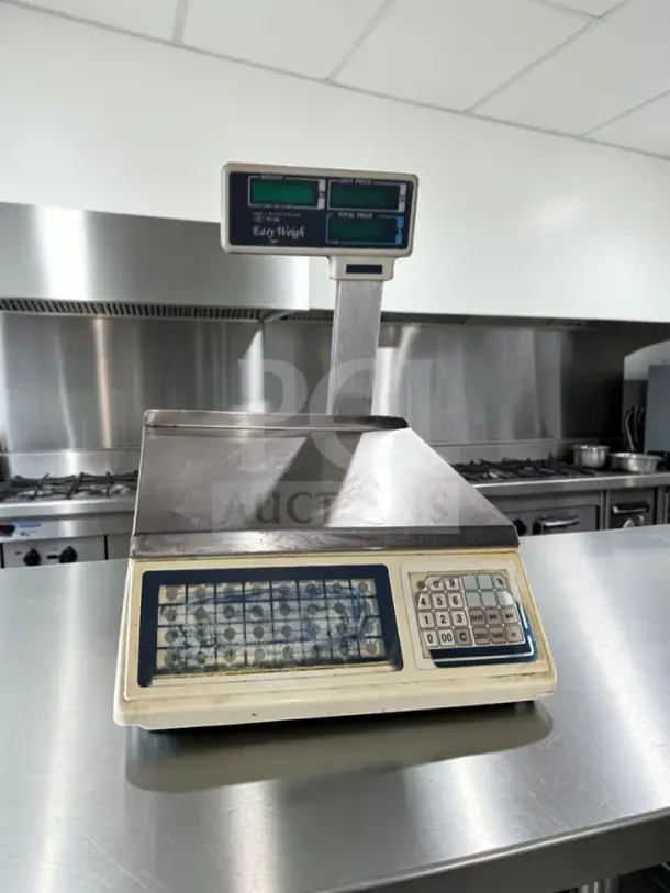 Skyfood PC-100-PL 10" stainless steel price computing scale with pole display, 60 lb capacity, fully tested, operational.