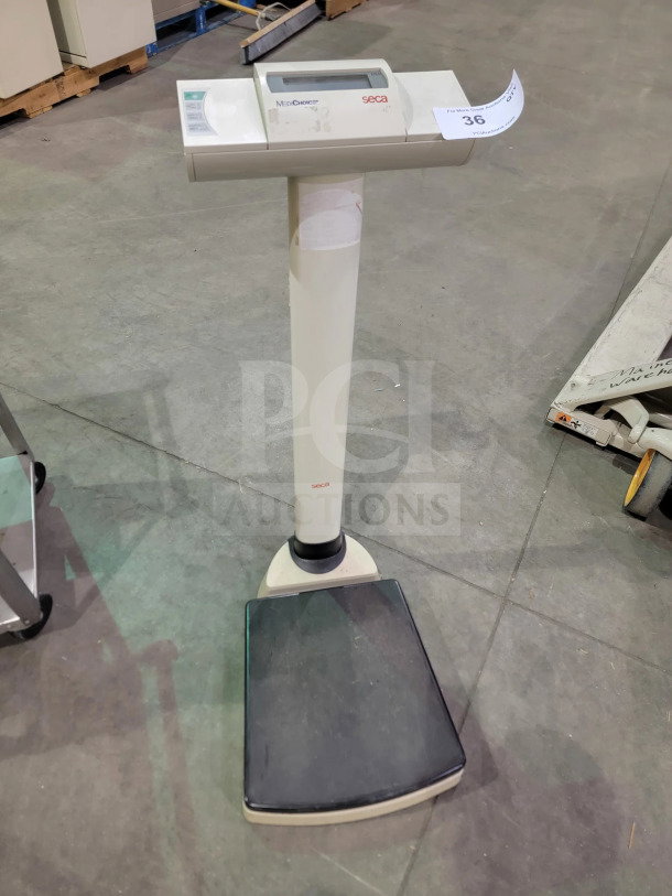 SECA 703 Digital Scale with cast-iron base, 550 lb capacity, BMI and tare functions, and integrated wheels for mobility.