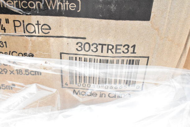 Cardboard box labeled "14” Plate" with code "303TRE31," and "Made in China." Enclosed in clear plastic wrapping.