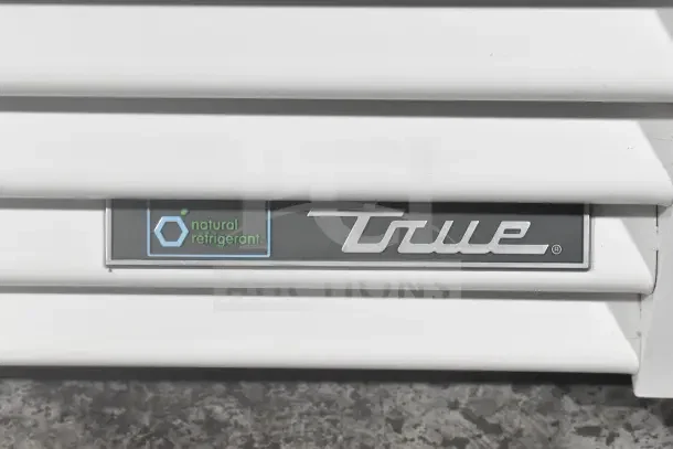 2021 True TSCI-600R-G-PH commercial cooler, single door, natural refrigerant label, 115V, 1 phase, good condition.