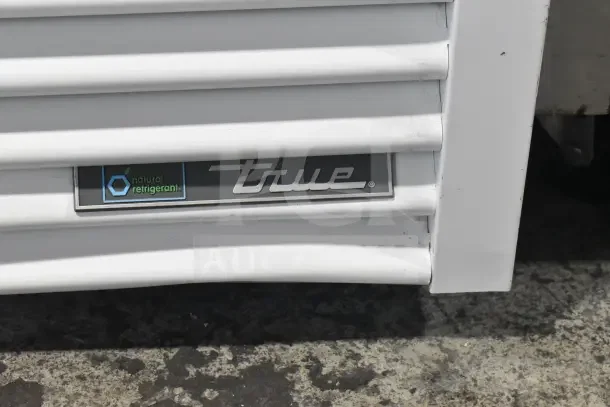 2021 True TSCI-600R-G-PH Commercial Cooler, single door, 115V, with "true" and "natural refrigerant" labels.