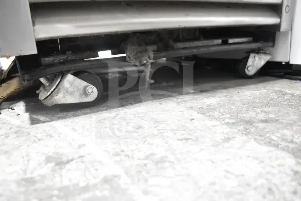 2018 True T-19F-HC Freezer with commercial casters, some damaged; 115 volts, 1 phase. Close-up of damaged caster.