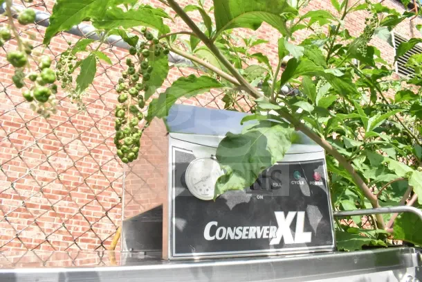 Jackson Conserver XL Commercial Dishwasher, 115V, 1 Phase; features control panel with fill, cycle, and power indicators.