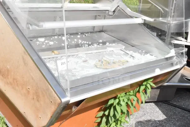 Commercial display case merchandiser with broken glass. Stainless steel finish, rust on the exterior, and plant growth nearby.
