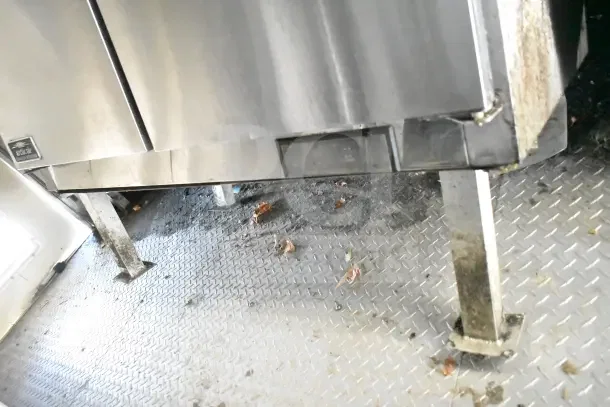 Diamond Cargo 24' Kitchen Trailer interior, showing equipment base, diamond plate flooring, some dirt present.