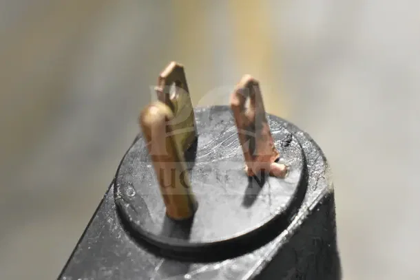 Plug prongs of Randell 2020F Commercial 2 Door Reach In Freezer, showcasing electrical connection details.