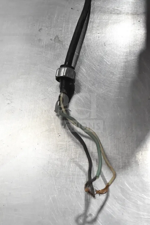 Damaged power cord of Butcher Boy B14 Commercial Meat Saw; shows exposed wires, needs repair for safe operation.