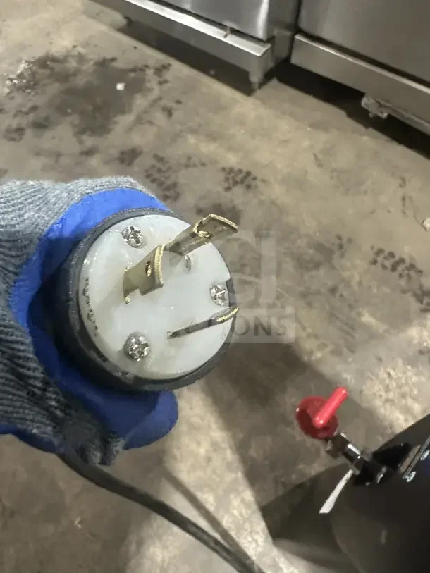 Bunn H5X hot water dispenser plug, showing three-prong design. Gloved hand holds the plug, emphasizing sturdy construction.