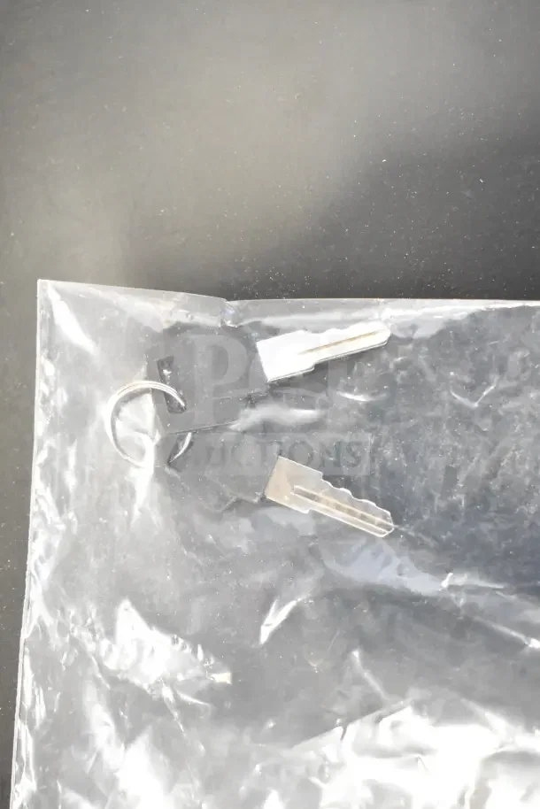 Keys for the Galaxy 177CRG3B Refrigerated Merchandiser in a sealed plastic bag.