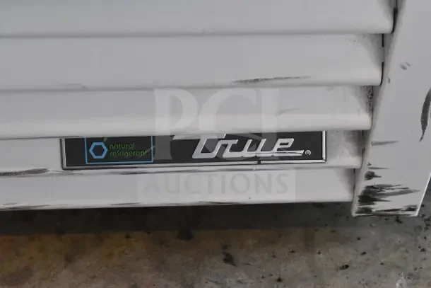 2021 True TSCI-600R-G-PH commercial cooler with natural refrigerant label and True branding, moderate surface wear.
