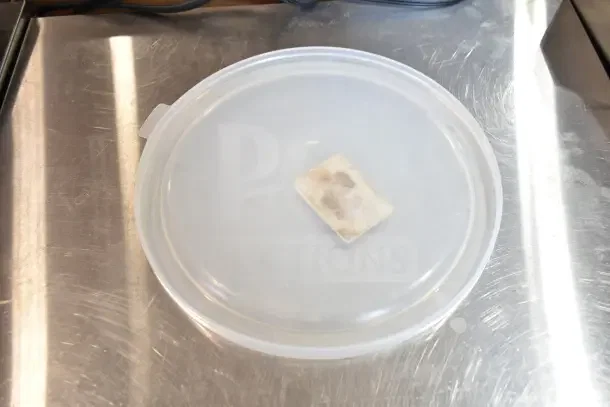 Clear plastic lid on a metal surface. Visible text reads "Canister." Part of a bulk auction of kitchen items.