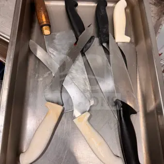 Lot of 7 Kitchen Knives ALL ONE MONEY